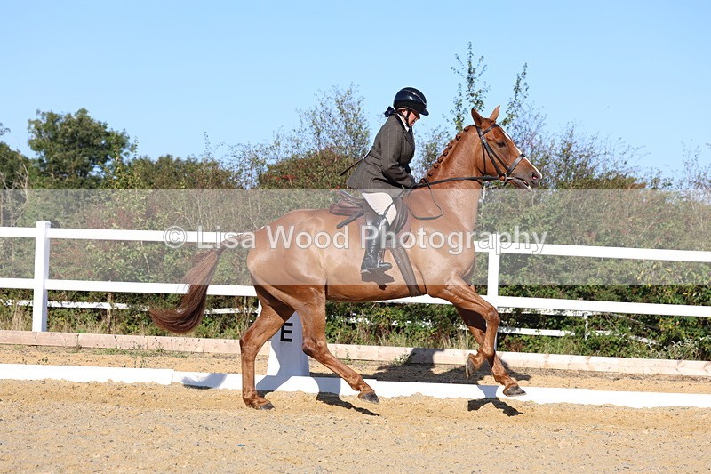 3E7A5180 - Class 7: Novice Ridden Hunter/Hack/RH/Cob
