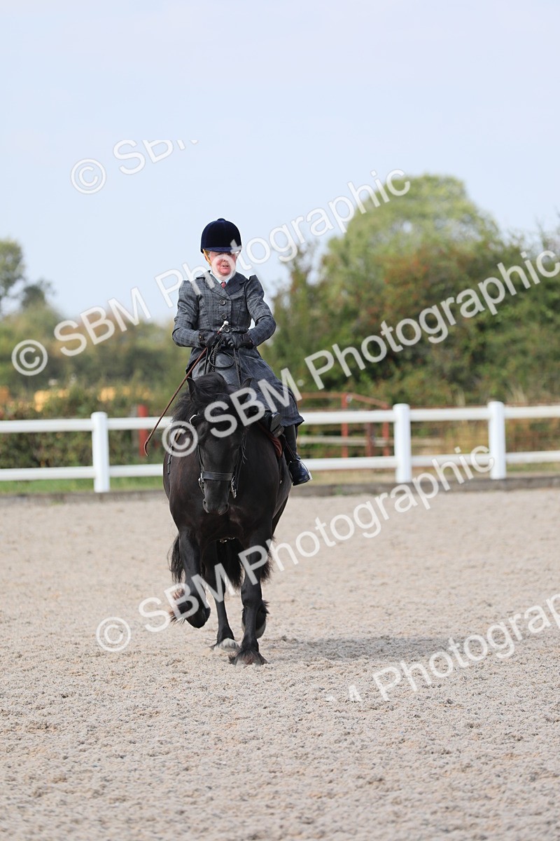 SBM_14553 - Class 211 Best Side Saddle Horse/Pony