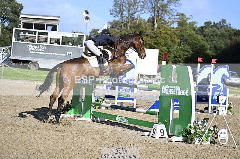 241026-114842-12606 - 053-Lois.Teal-Z7.CATASTROPHE