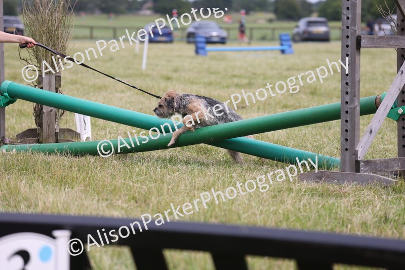 20260614-4370 - Class 25 - Horse and Hound Jumping