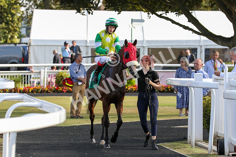 300824-Race 8-Masterpainter-0700 - Race 8