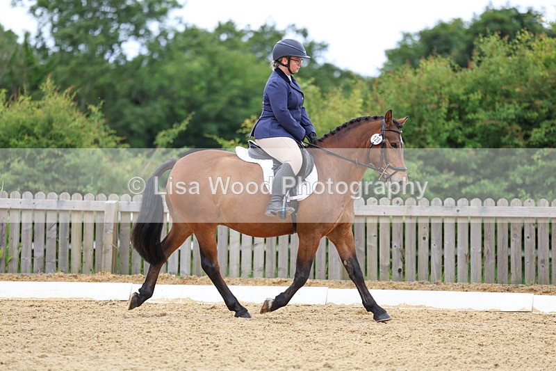 3E7A9529 - Class 2: Intro 1 2024 Section B