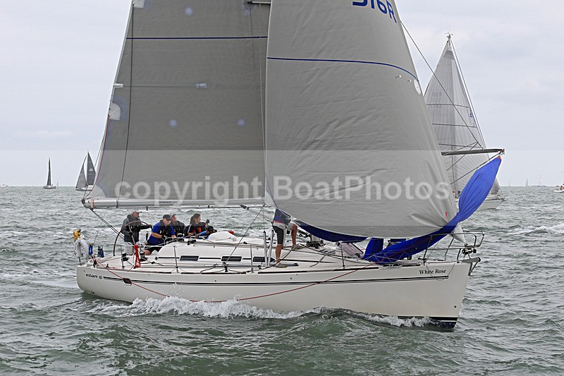 190803 WHITE ROSE GBR516R 1Y3A7246 - 190803 WHITE ROSE GBR516R