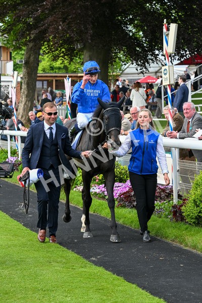 170524-Race 3-Devoted Queen-7928 - Race 3 3.15pm Sky Bet Fillies' Stakes (Registered As The Michael Seely Memorial Fillies' Stakes)