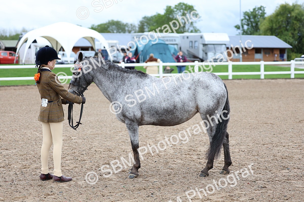 SBM_00251 - Class 13 - Young Handler
