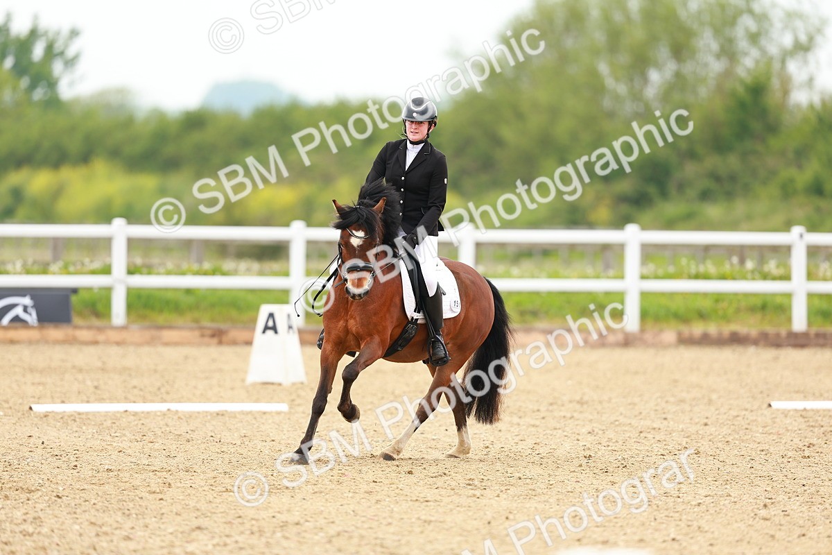 SBM_004785 - Class 15 - Novice 5