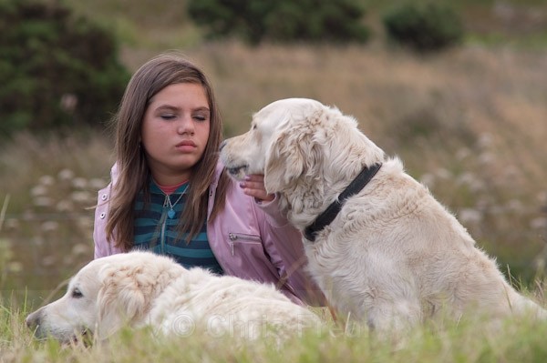 4 - Barstobrick Funday