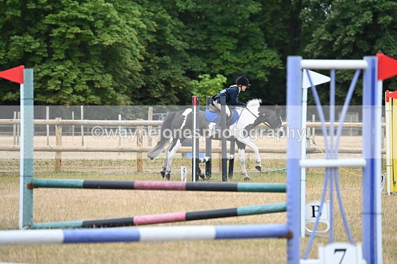 WJ6_9950 - Class 13 Novice Jumping 60cm
