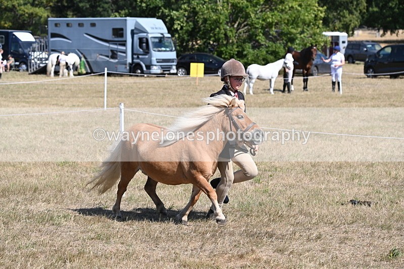 WJ6_9205 - Championship Classes 33-38