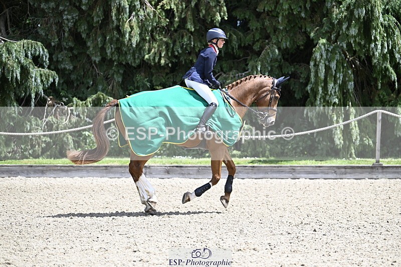 250525A-132012-17667 - Presentations Section B CCI 3 Star Long