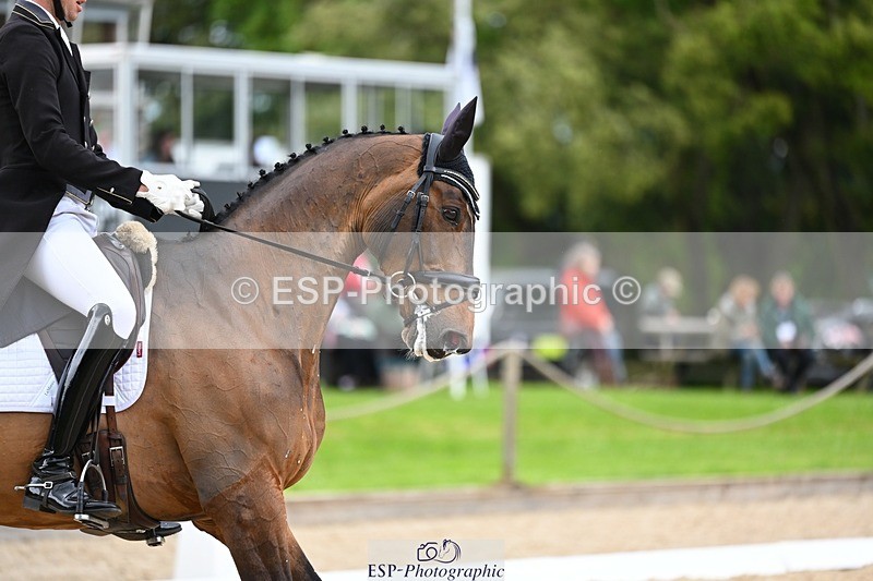 240524-143158-10295 - 532-QUINTILIUS-Tom_Rowland