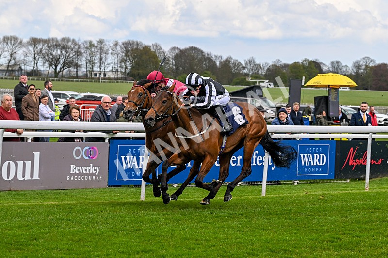 150426-Race 1-Thankfully-4659 - Race 1