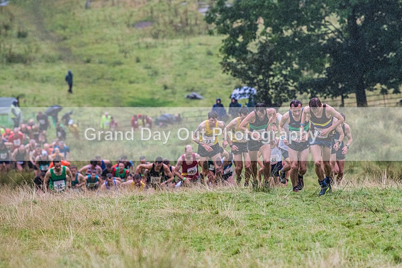 Grasmere Senior-19 - Grasmere Guides Senior Fell Race Sunday 25th August 2024