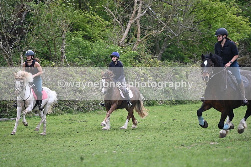 WJ6_3293 - A camera