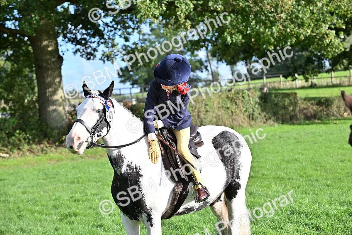 SBM_51272 - S22 - First Ridden show and show Hunter Pony