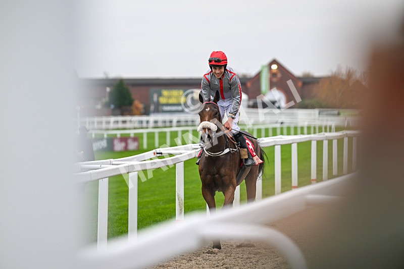 151124-Race 4-Sweet David-8315 - Race 4