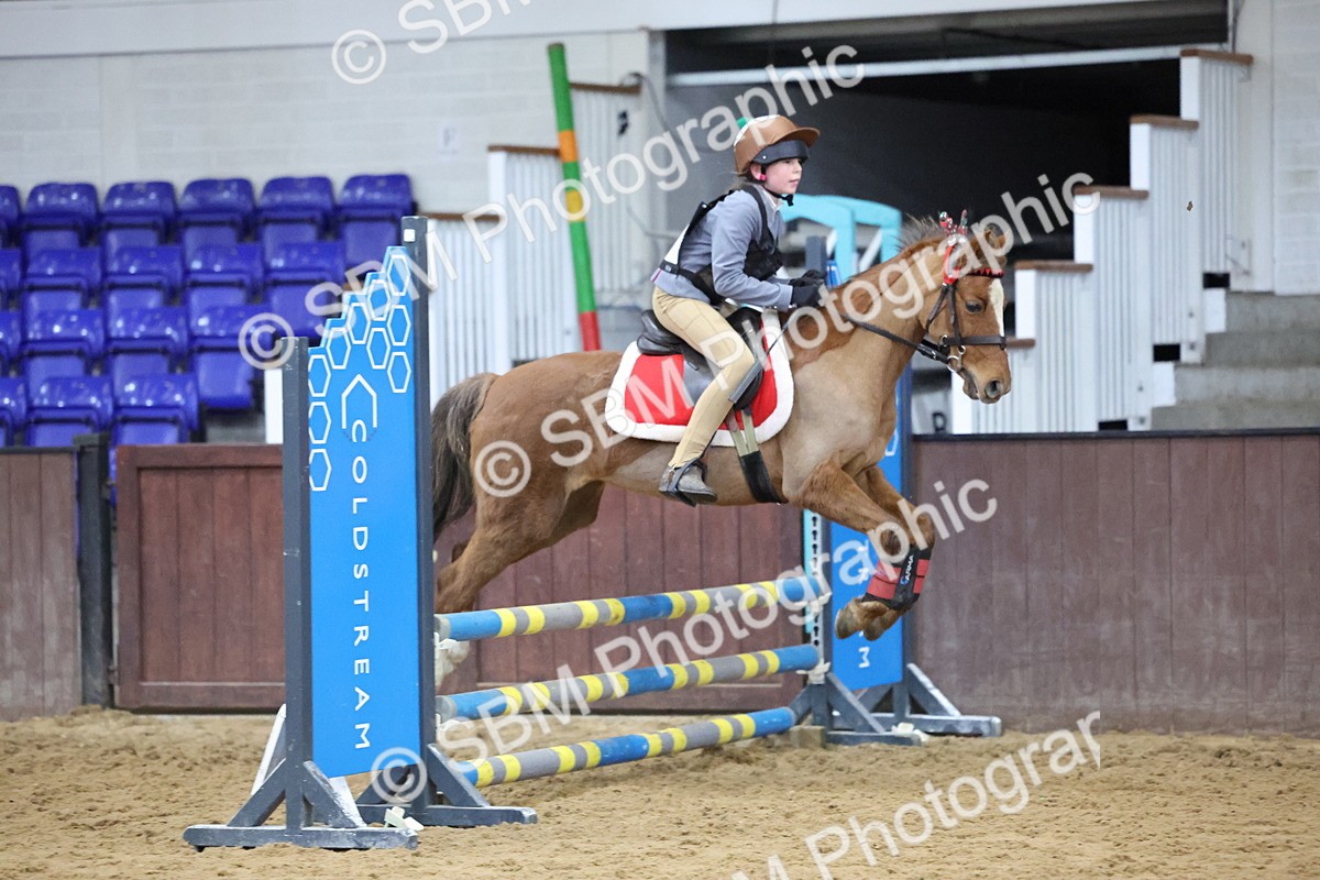 SBM_001105 - Class 3 - Christmas Tree Stakes - 60cm