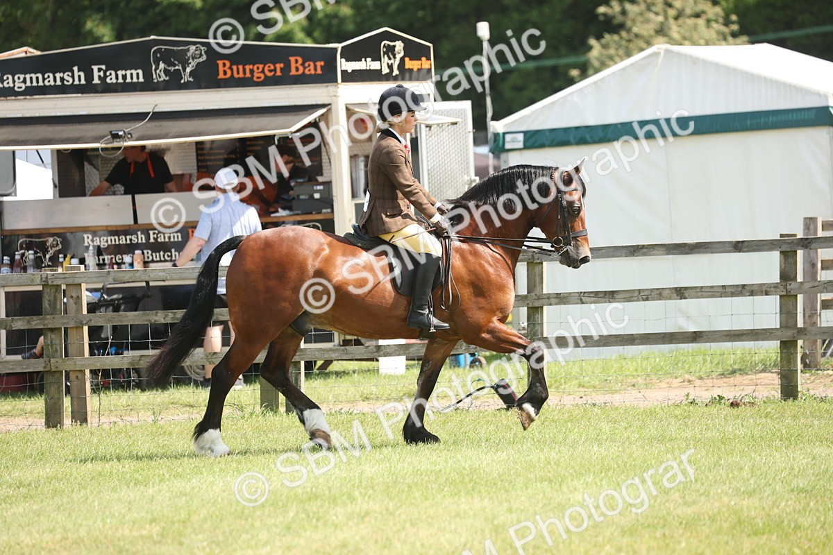 SBM_07658 - Class 26-30 - Mountain and Moorland Ridden