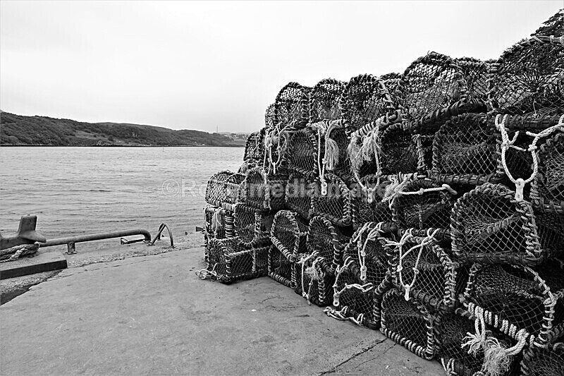 DSC07884 - SEPT 2020 STAYCATION