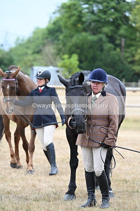 WJ7_0140 - Class 5a Most Handsome Gelding (above 14.2hh)