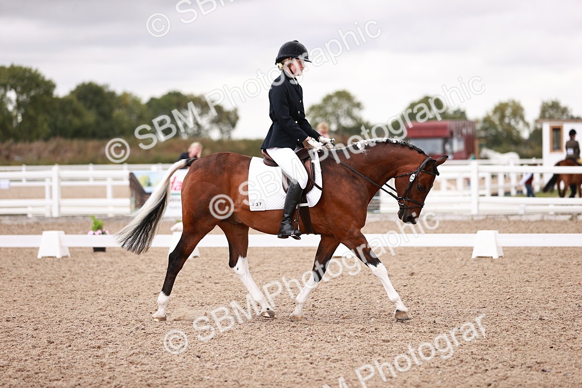 SBM_04005 - Class 36 - Prelim 5