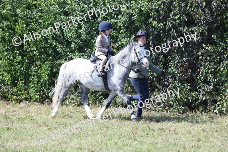 20250831-2627 - Class 17 - Lead Rein Pony