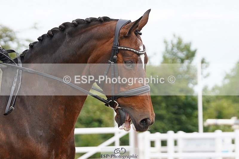 250621-110956-05795 - Quest Cls 13-17, Novice All