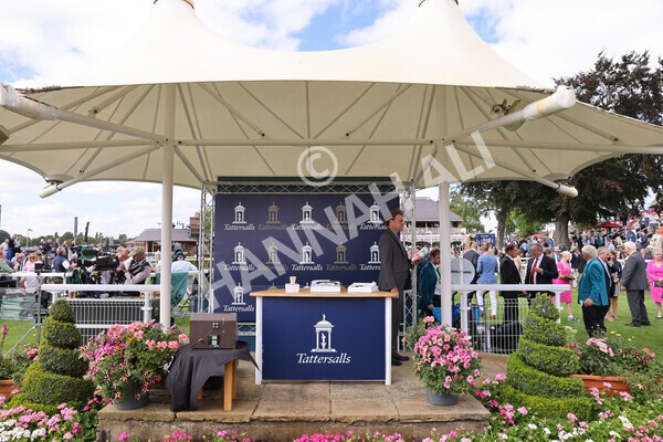 yr17082022r2-67 - Race 2 2.25pm Tattersalls Acomb Stakes