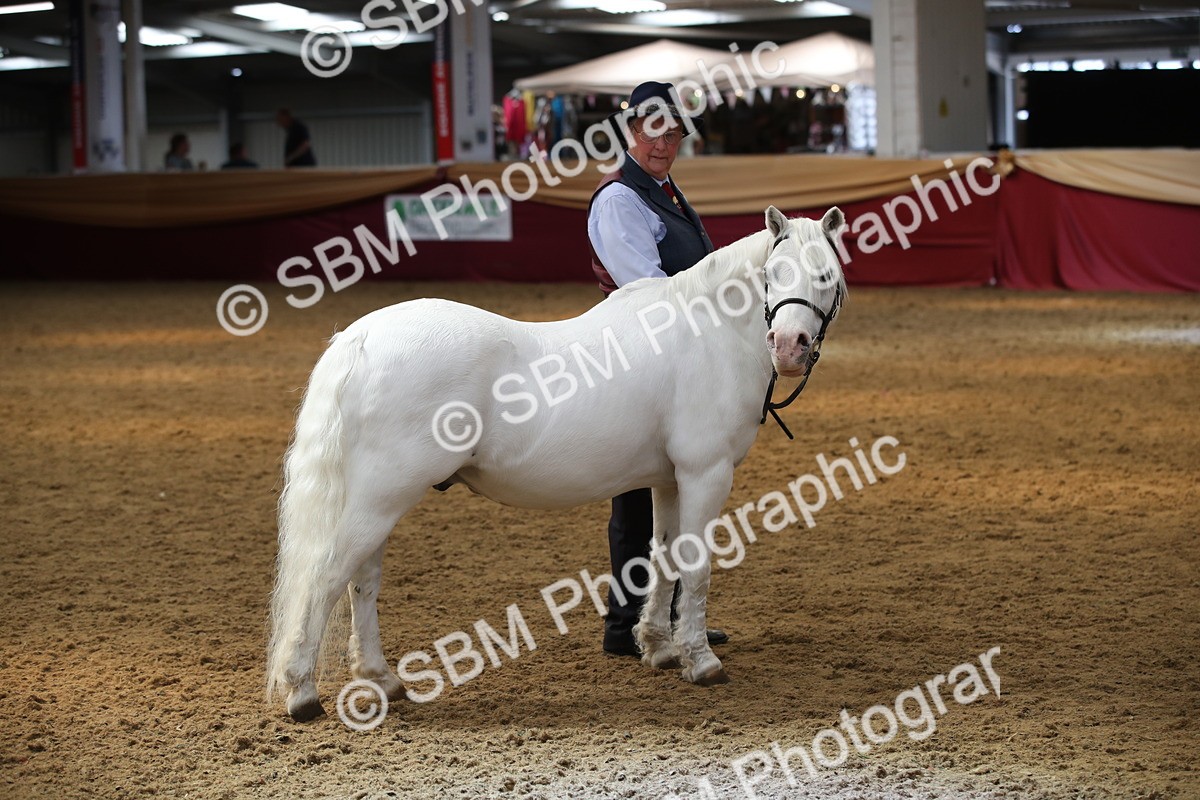 SBM_05443 - Class 8R - Regional IH Veteran