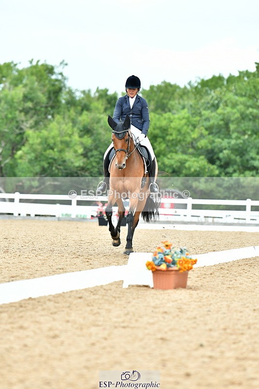 230702A-124028-09683 - Cls 28 Elementary 45