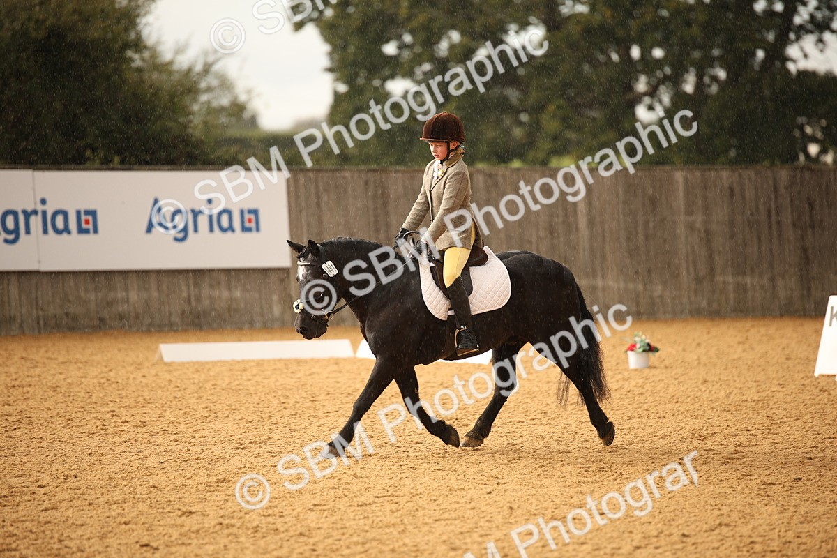 SBM_12371 - D3 Small  Tour Championship Intro A