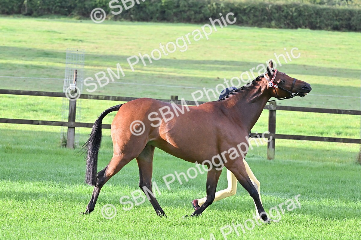 SBM_32619 - S15 - Top Turnout In Hand