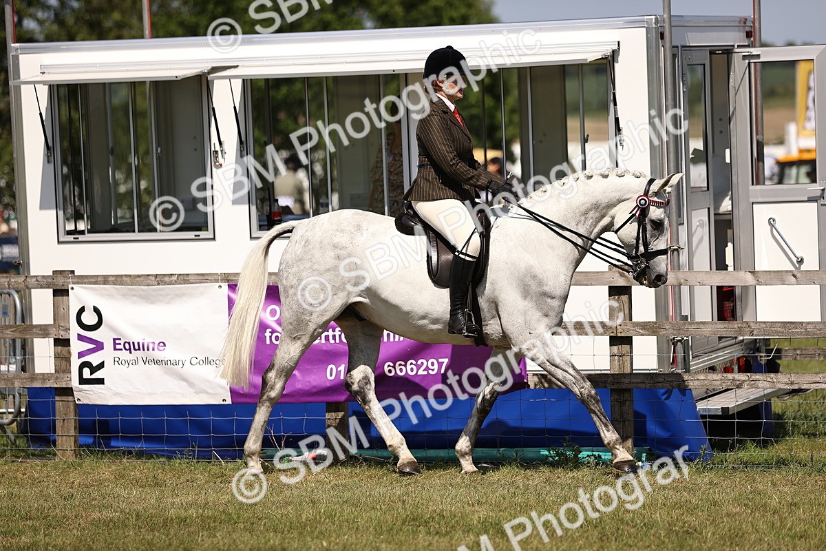 SBM_17984 - Class 81-83 - TSR Ridden Amateur of the Year - Horses