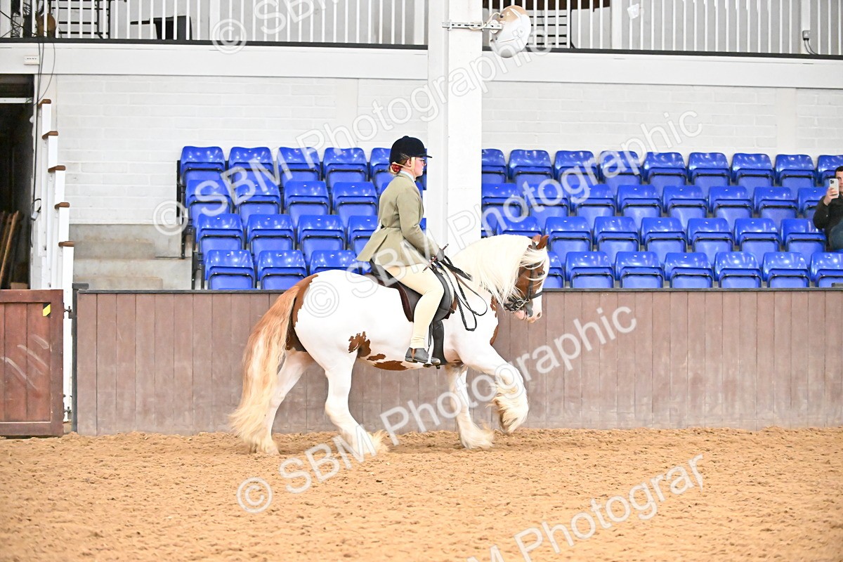 SBM_002681 - Class 28,29 - Ridden Irish & Coloured