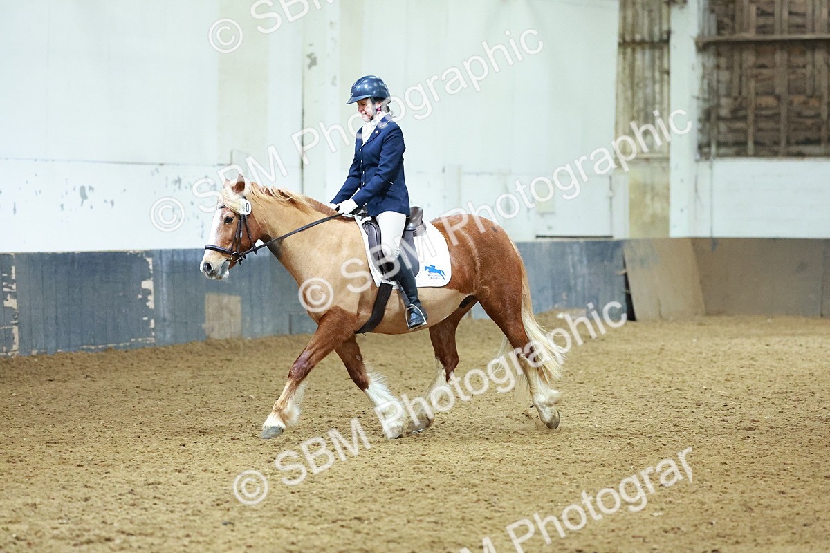 SBM_003662 - Novice 2