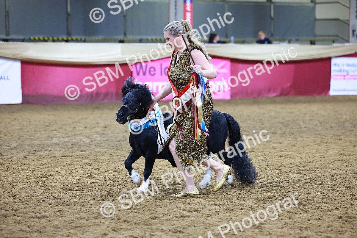 SBM_15354 - Class P - M&M Champ
