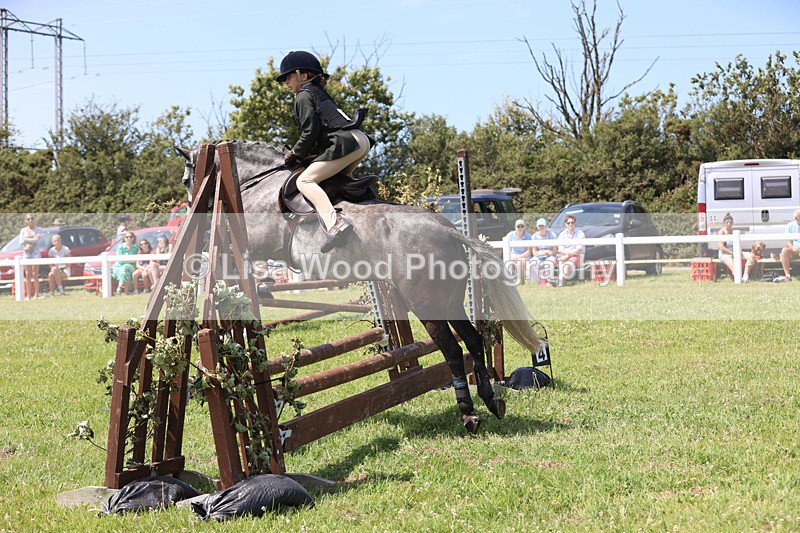 JPP_2604 - Class 21: Working Hunter 60cm