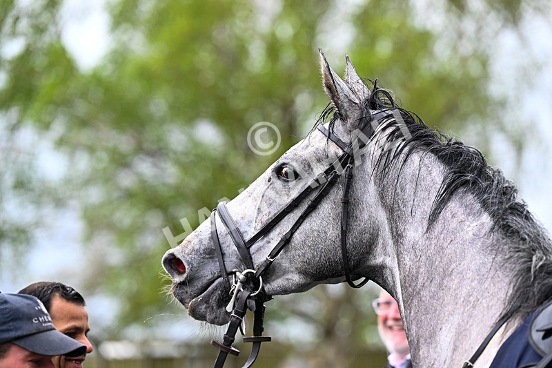 150426-Race 7-Wondrous Light-8170 - Race 7