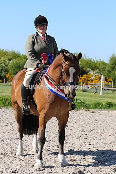 SIAL2241 - Outdoor championship & supreme