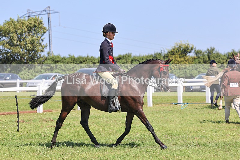 IMG_2121 - Plaited Ridden Championship