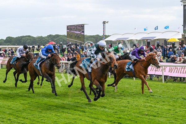 150525-First Legion-5163 - Race 6 4.55pm Frank Whittle Partnership ebfstallions.com Novice Stakes
