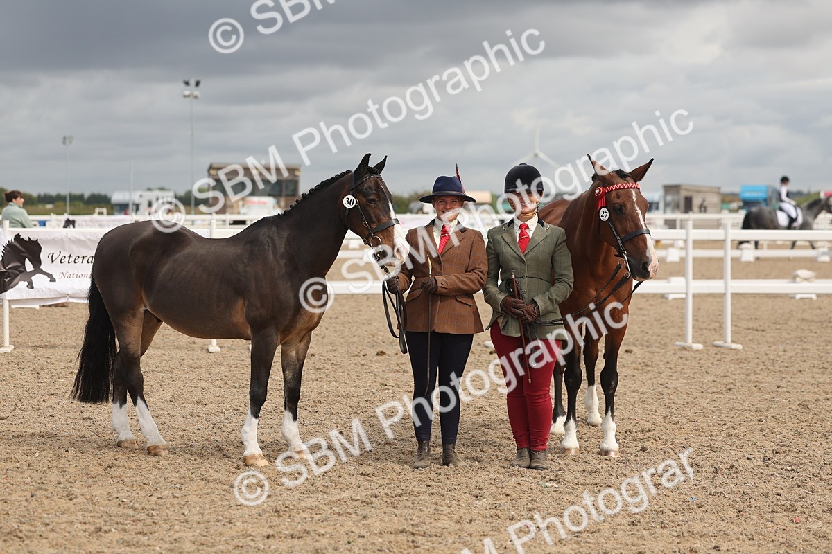 SBM_04463 - Class 18 - Handsomest Gelding (IH or Ridden)