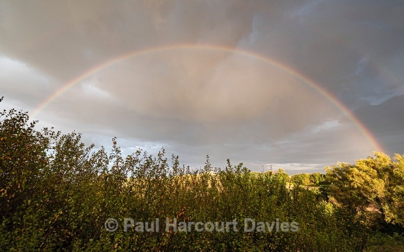 Rainbow viewed from Podere Montecucco with secondary bow just visible. - Plants in the Landscape