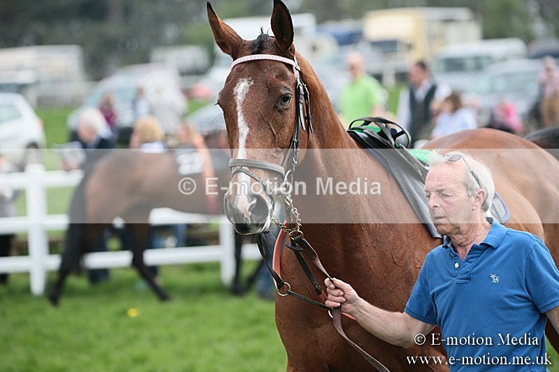 PtP 210418 166 - South & West Wilts Point-to-Point Larkhill 21/04/18