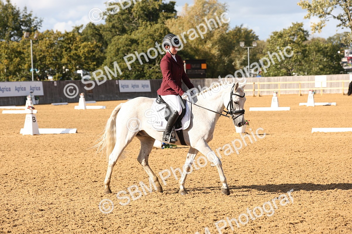 SBM_50459 - D12 - Small Tour Championship prelim 2