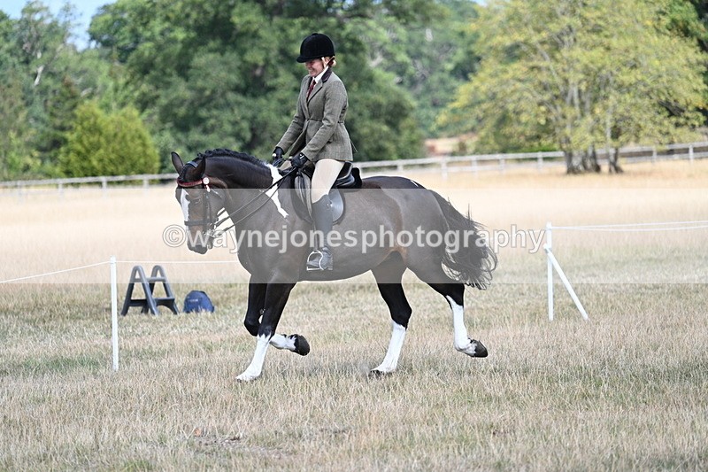 WJ7_6063 - Class 13 Ridden Veterans