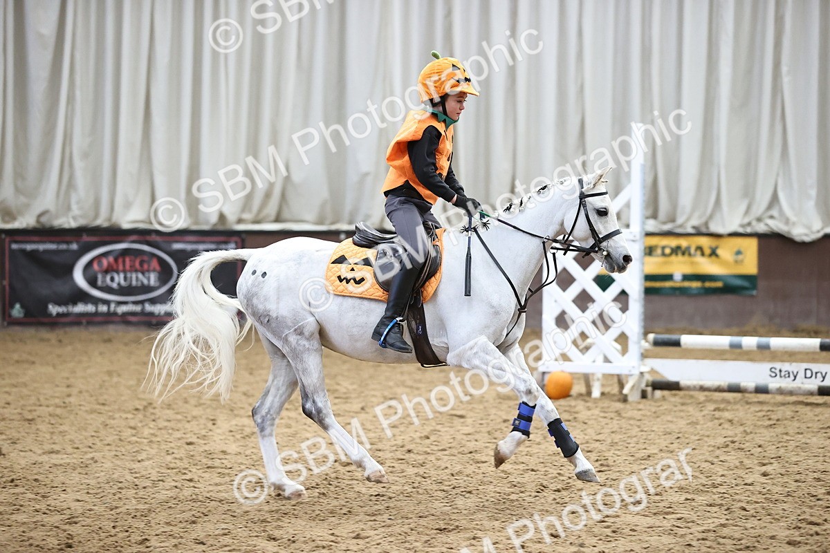 SBM_001362 - Class 3 - Horse & Hound 60cm