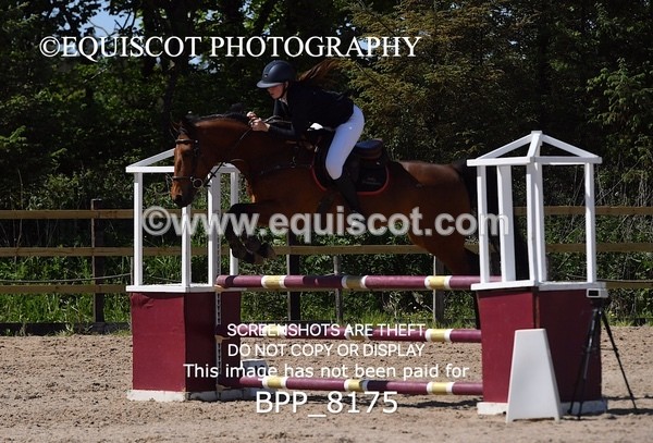 BPP_8175 - CLASS 4 Senior Discovery/ 1m Open