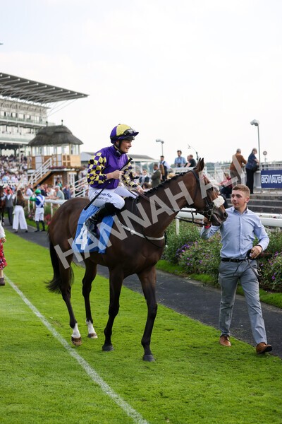 yr05092021r4-12 - Race 4 3.45pm Coopers Marquees British EBF Future Stayers' Novice Stakes