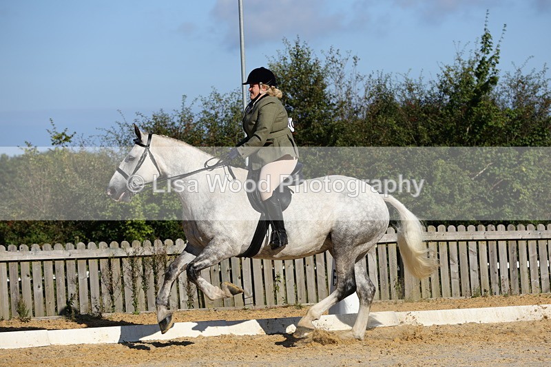 1X9A7606 - Class 7: Novice Ridden Hunter/Hack/Cob/Riding Horse